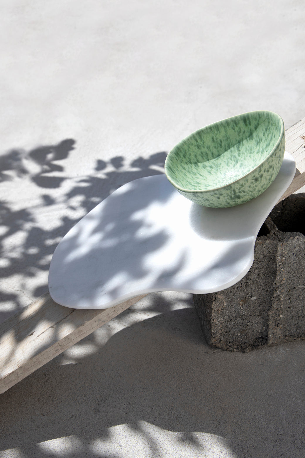Green turtle organic bowl
