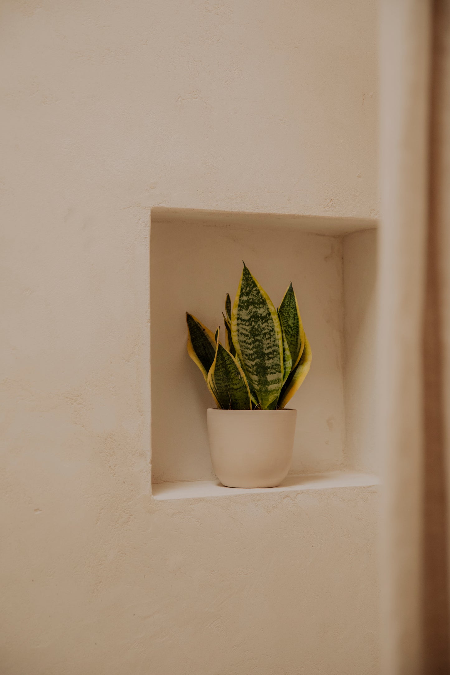 Vaso Wabi Sabi - A Beleza da Imperfeição com Argila Reciclada - Bege