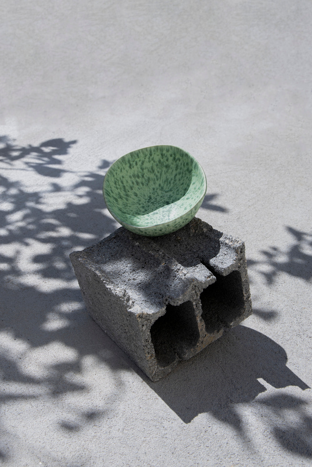 Green turtle organic bowl